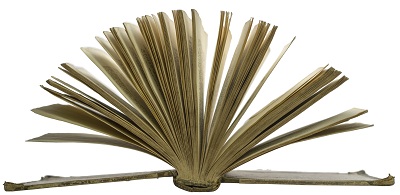 Droit des sociétés en France